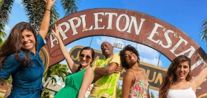 Appleton Rum Factory Tour