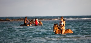 Horseback Ride and Swim