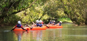 Jungle River Tubing