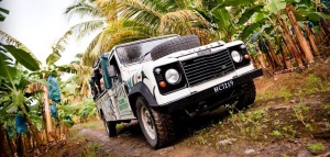 Tropical Jeep Safari